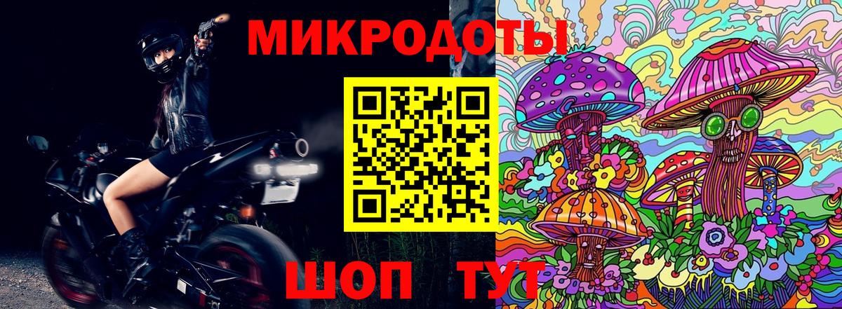 Галлюциногенные грибы Psilocybe  купить   Кузнецк  Вход с VPN 