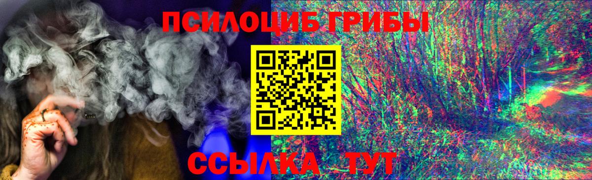 Галлюциногенные грибы Cubensis Кузнецк