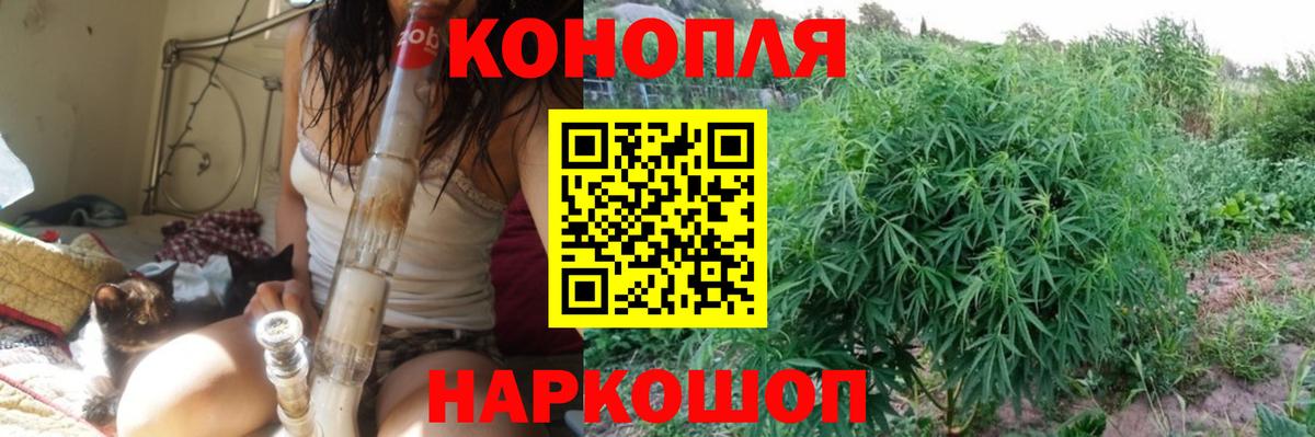 Конопля SATIVA & INDICA  Конопля Bruce Banner  Кузнецк  Марихуана план  Вход с VPN  Шишки марихуана тримм 